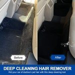 Pet Hair Remover Tool for Carpet and Couch