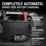 Stylish Automatic Battery Charger for Lead-Acid & Lithium