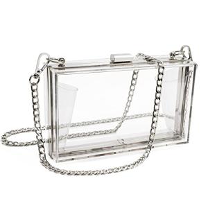 Clear Acrylic Clutch Purse With Silver Chain Strap