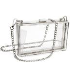 Clear Acrylic Clutch Purse With Silver Chain Strap