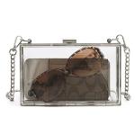 Clear Acrylic Clutch Purse With Silver Chain Strap