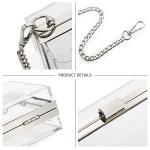 Clear Acrylic Clutch Purse With Silver Chain Strap