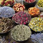 Herb Kit for Witchcraft and Wiccan Rituals