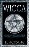 Wicca: A Beginner's Guide for Aspiring Witches