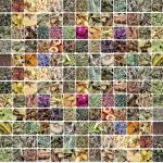 128 Pack Herbal Witchcraft Supplies for Rituals