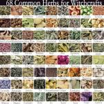 128 Pack Herbal Witchcraft Supplies for Rituals