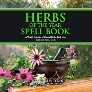 Beginner's Guide to Herbs in Green Witchcraft