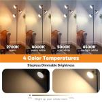 Modern Dimmable LED Tree Floor Lamp with Remote