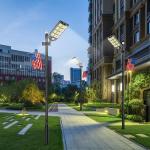 16.5Ft Solar Street Light Pole for Outdoor Use