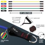 TheFitLife Resistance Bands Set with Handles