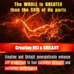 Creatine HCL with Shilajit - Muscle & Strength Boost