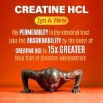 Creatine HCL with Shilajit - Muscle & Strength Boost