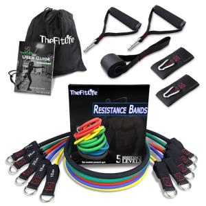 TheFitLife Resistance Bands Set with Handles