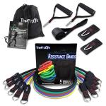 TheFitLife Resistance Bands Set with Handles