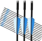 GPP Beginner's 30" Fiberglass Archery Arrows - 12 Pack