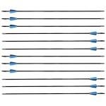 GPP Beginner's 30" Fiberglass Archery Arrows - 12 Pack