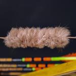 Beaver Fur Bowstring Silencers for Recurve & Longbow