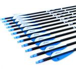 30-Inch Carbon Practice Arrows - Pack of 12