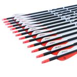 30-Inch Carbon Practice Arrows for Bows - 12 Pack