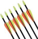GPP 28" Fiberglass Practice Arrows - 12 Pack