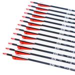30-Inch Carbon Practice Arrows for Bows - 12 Pack