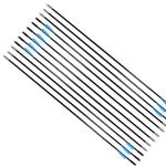 GPP Beginner's 30" Fiberglass Archery Arrows - 12 Pack