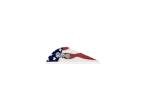 Bohning True Color Blazer® American Flag Vanes 100pk