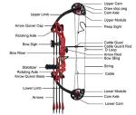 PANDARUS Youth Compound Bow for Beginners, Right-Handed