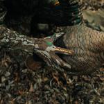 Muddy Lightweight Archery Gloves