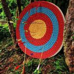 DOSTYLE Solid Straw Round Archery Target Face