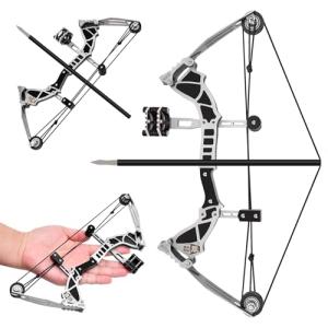 Compound Bow and Arrow Set for Target Shooting