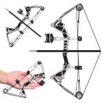 Compound Bow and Arrow Set for Target Shooting
