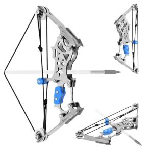 Versatile Compound Bow and Arrow Set for Target Shooting