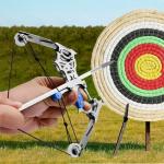 Versatile Compound Bow and Arrow Set for Target Shooting