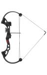 Bear Archery Brave Youth Bow with Accessories