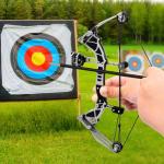 Compound Bow and Arrow Set for Target Shooting