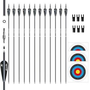 Carbon Arrows for Target Practice and Hunting (12 Pack)