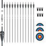 Carbon Arrows for Target Practice and Hunting (12 Pack)