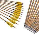 30” Carbon Hunting Arrows with Turkey Feathers
