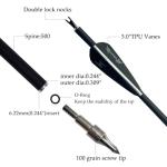 Carbon Arrows for Target Practice and Hunting (12 Pack)