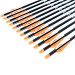 30-Inch Carbon Practice Arrows for Bows - Pack of 12