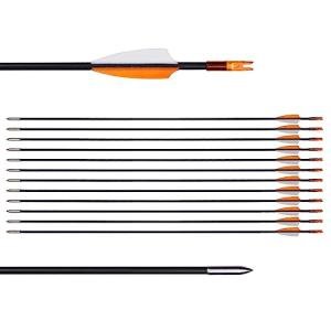 LWANO 31" Training Arrows for Kids and Beginners