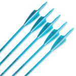 Pointdo 30-inch Fluorescent Carbon Hunting Arrows (12 Pack)