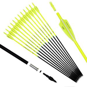 Pointdo 30" Fluorescent Carbon Practice Arrows
