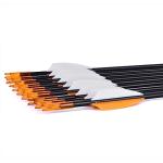 LWANO 31" Training Arrows for Kids and Beginners