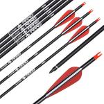 Elong 28" Carbon Arrows for Compound Bows