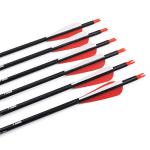 Elong 28" Carbon Arrows for Compound Bows