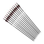 30 Inch Carbon Arrows with 3" Shield Vanes, 12 Pack