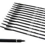 Tiger Archery 30-Inch Carbon Practice Arrows (12 Pack)
