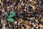 LWANO 20" 22" Carbon Crossbow Bolts with Broadheads